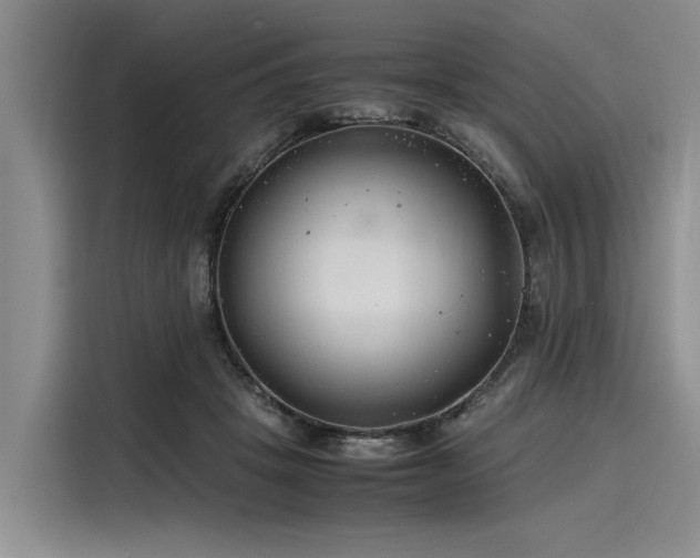 X0000116140457200911301524