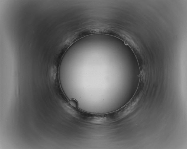 X0000116140458200911301524