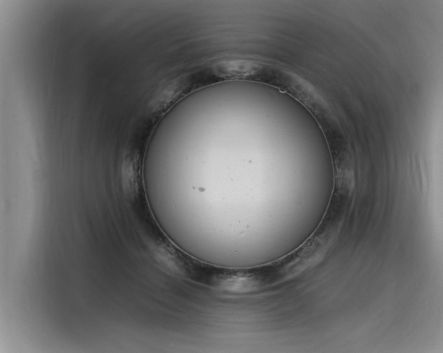 X0000116140460200911301524