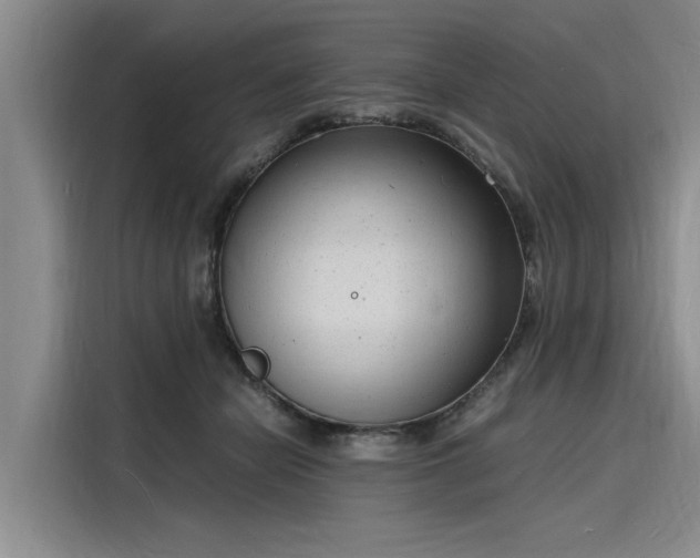 X0000116140462200911301524