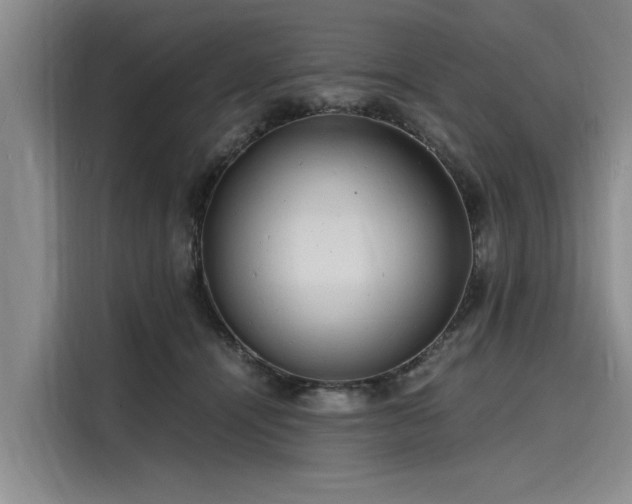 X0000116140464200911301524