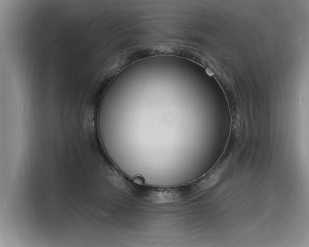 X0000116140466200911301524