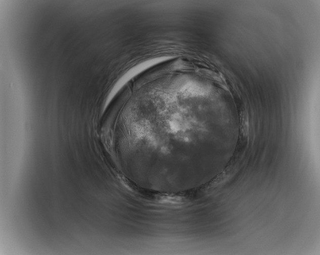 X0000116140471200911301524