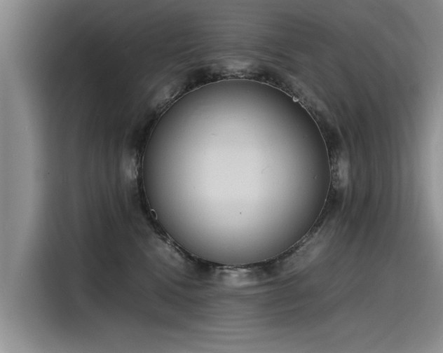 X0000116140472200911301524