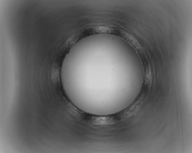 X0000116140473200911301524