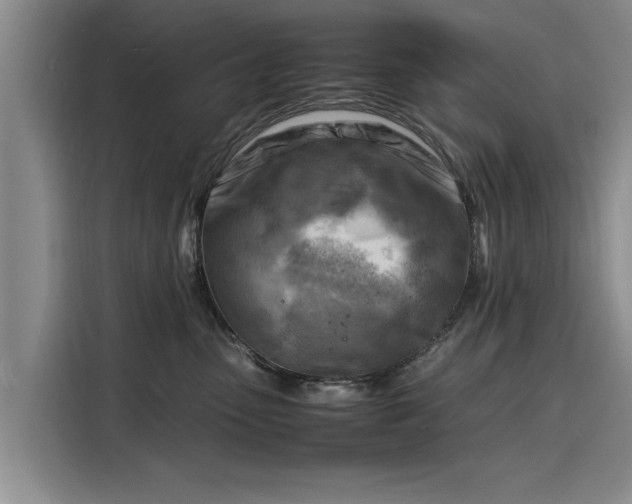 X0000116140475200911301524