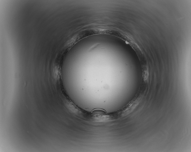 X0000116140476200911301524