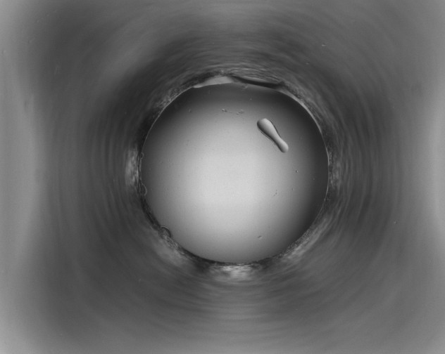 X0000116140478200911301524