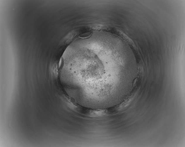 X0000116140479200911301524