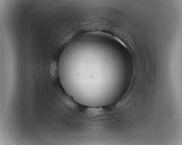 X0000116140480200911301524