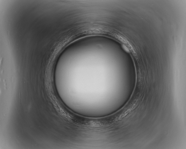 X0000116140481200911301524