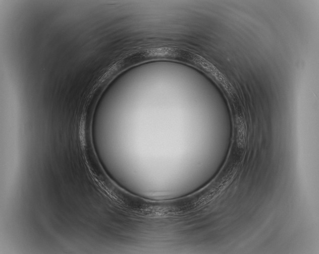 X0000116140482200911301524