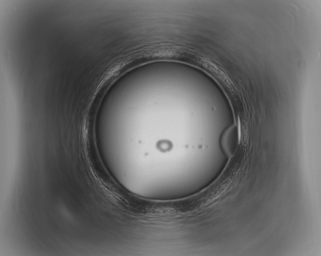 X0000116140483200911301524