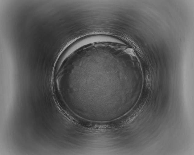 X0000116140484200911301524