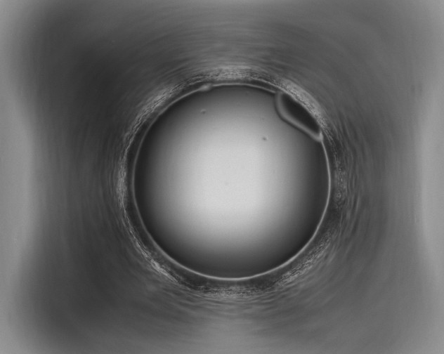 X0000116140485200911301524