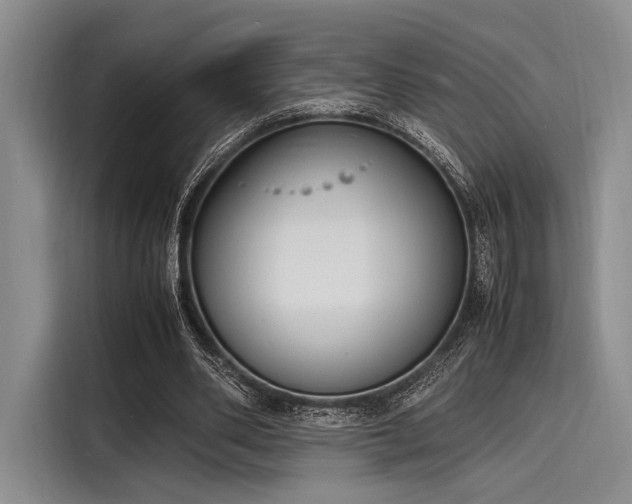 X0000116140486200911301524