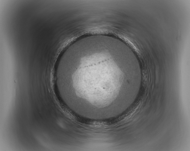 X0000116140487200911301524