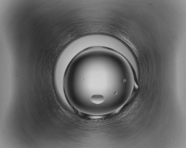 X0000116140489200911301523