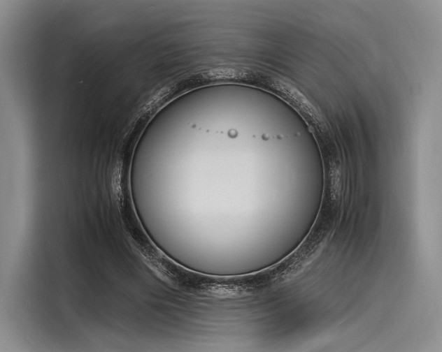 X0000116140490200911301523