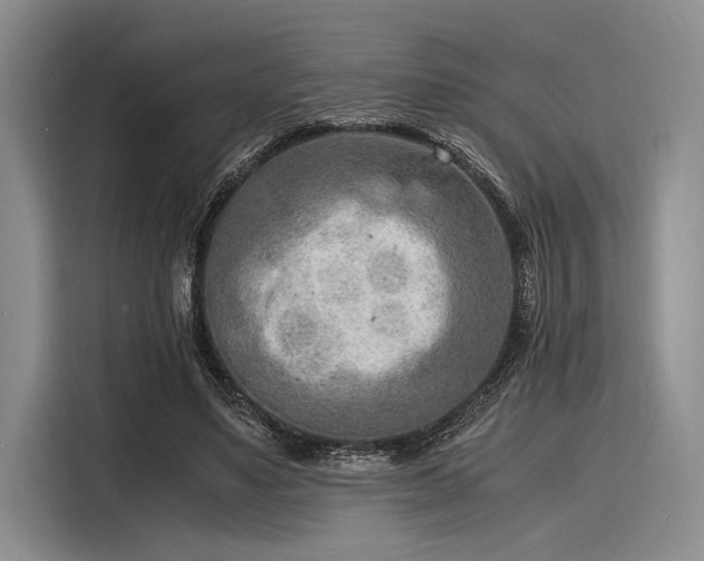 X0000116140491200911301523