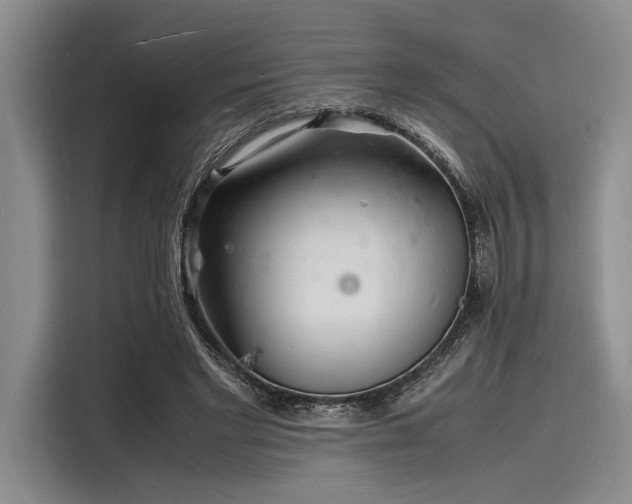 X0000116140493200911301523