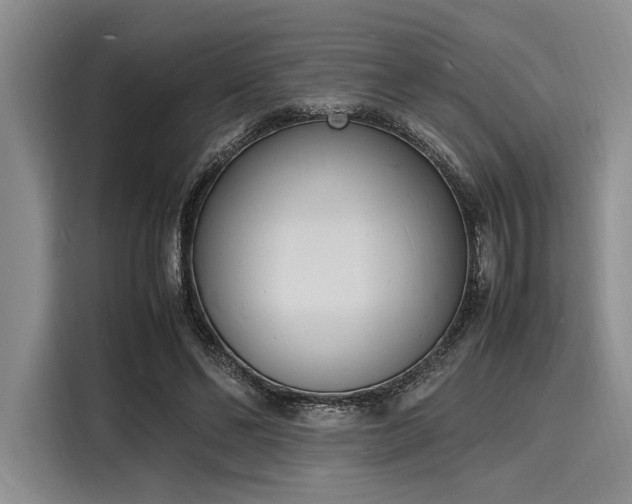 X0000116140494200911301523