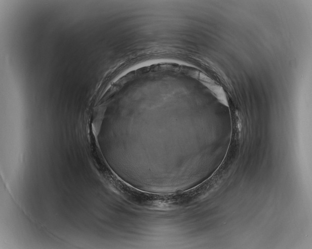 X0000116140496200911301523