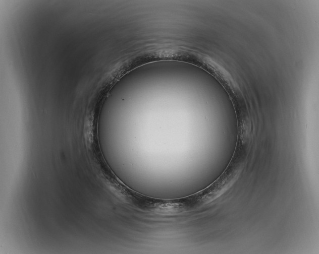 X0000116140497200911301523