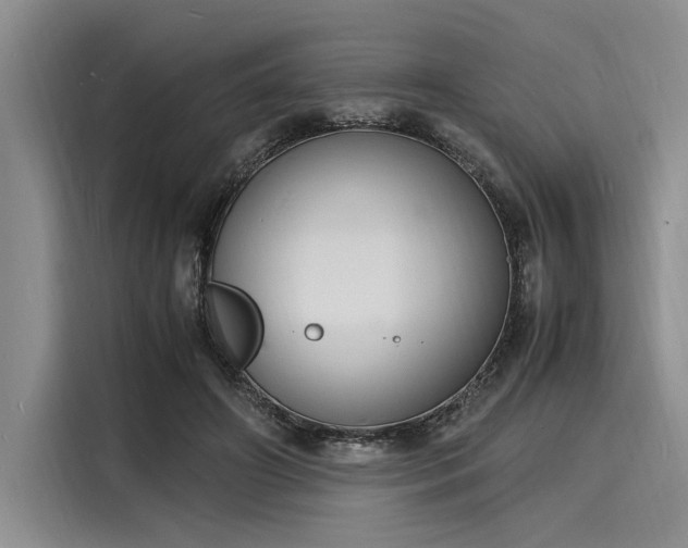 X0000116140498200911301523