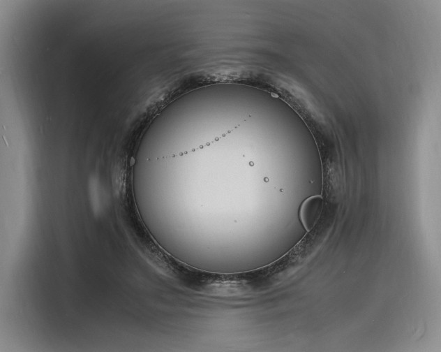 X0000116140499200911301523