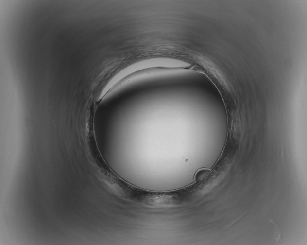 X0000116140501200911301523