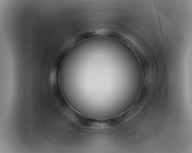 X0000116140502200911301523