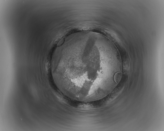 X0000116140503200911301523