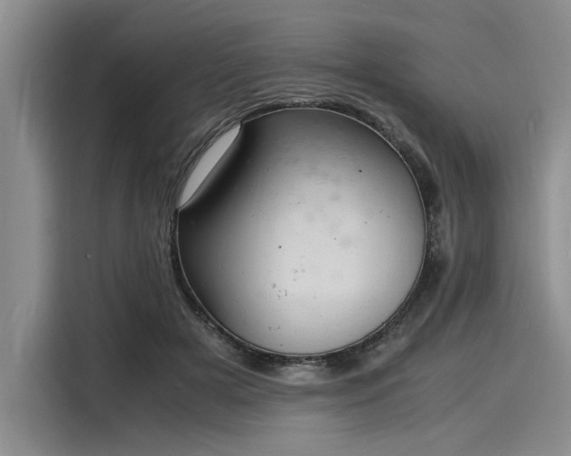 X0000116140505200911301523