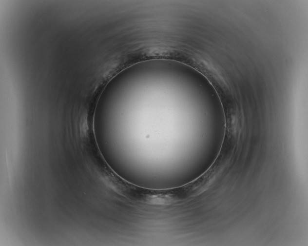 X0000116140508200911301523