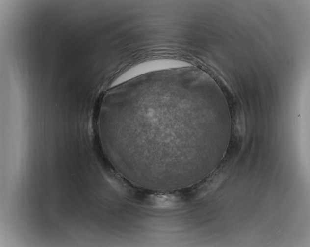 X0000116140512200911301523