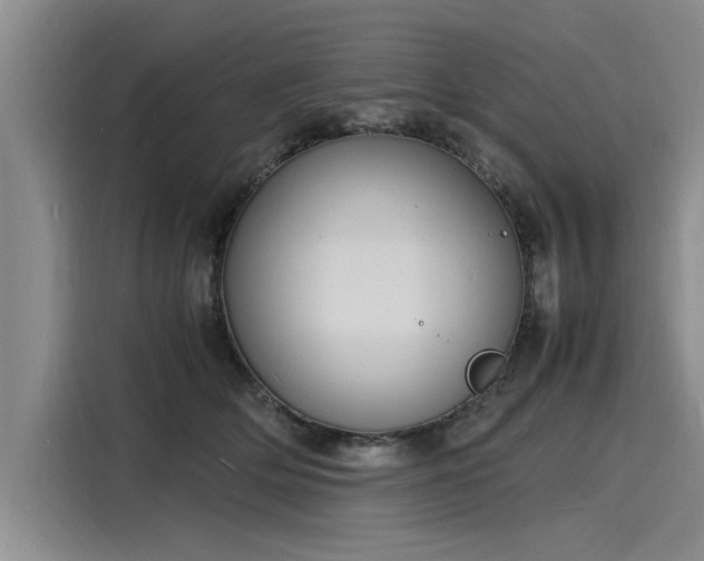 X0000116140514200911301523