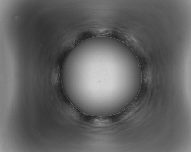X0000116140515200911301523