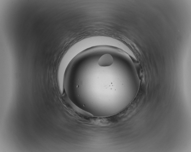 X0000116140517200911301523