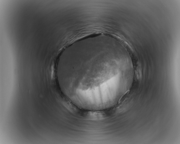 X0000116140520200911301523