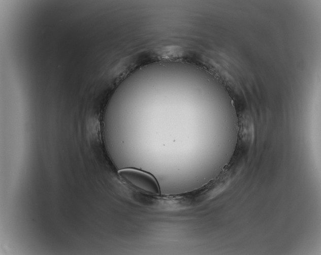 X0000116140523200911301523