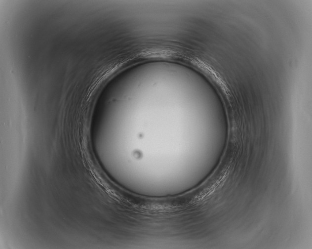 X0000116140529200911301522