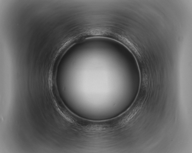 X0000116140530200911301522