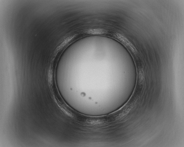 X0000116140533200911301522