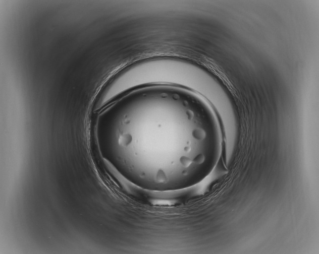 X0000116140534200911301522