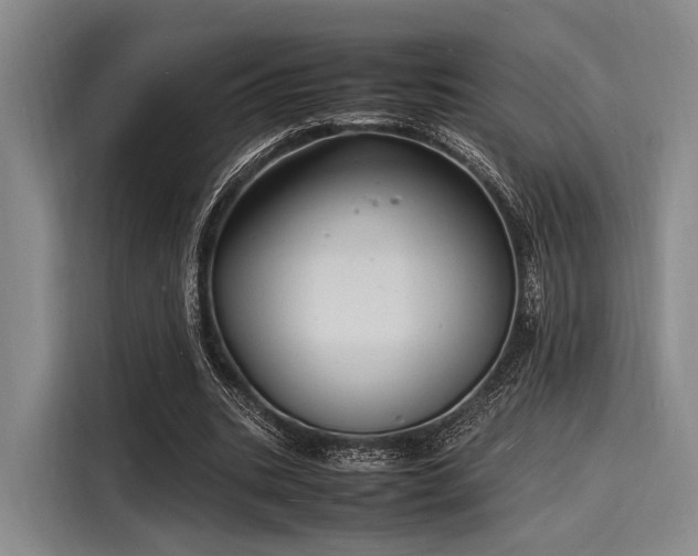 X0000116140535200911301522