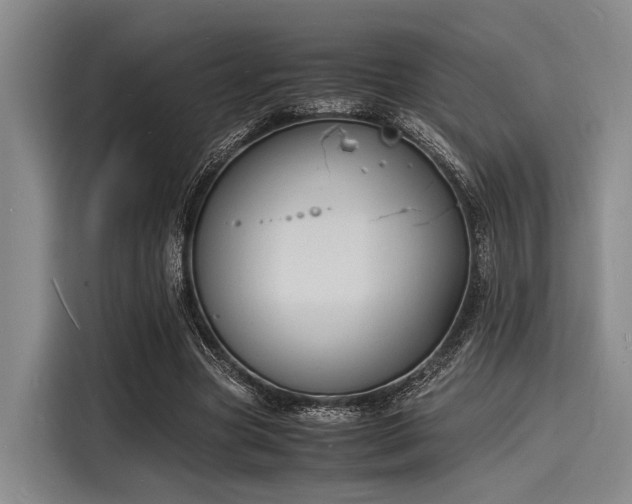 X0000116140537200911301522