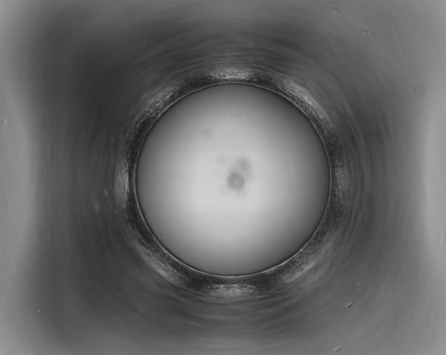 X0000116140541200911301523