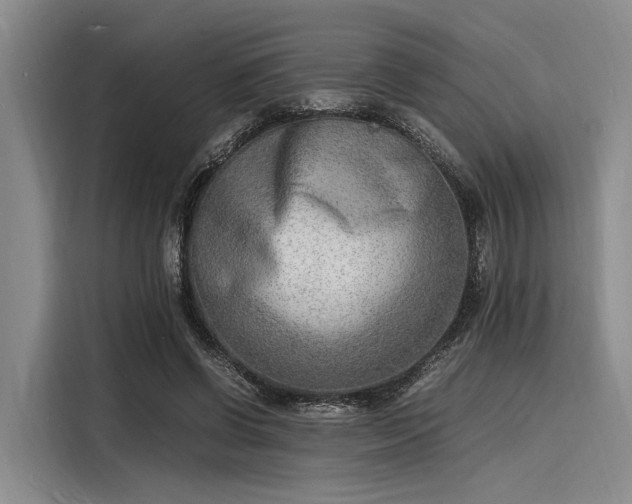 X0000116140542200911301523