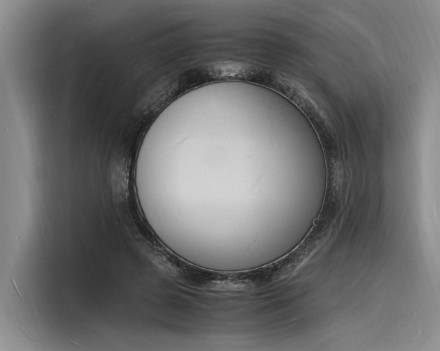 X0000116140545200911301523